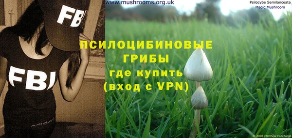 ALPHA PVP Алексеевка
