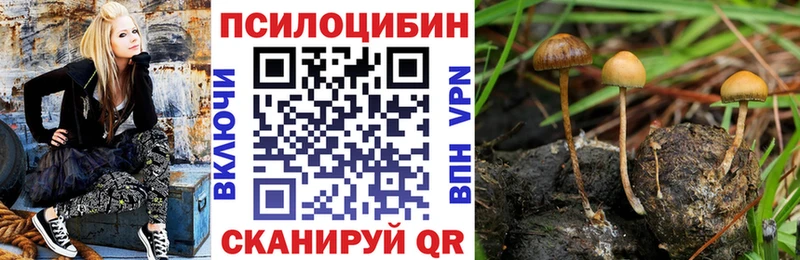 Псилоцибиновые грибы Cubensis  Татарск 